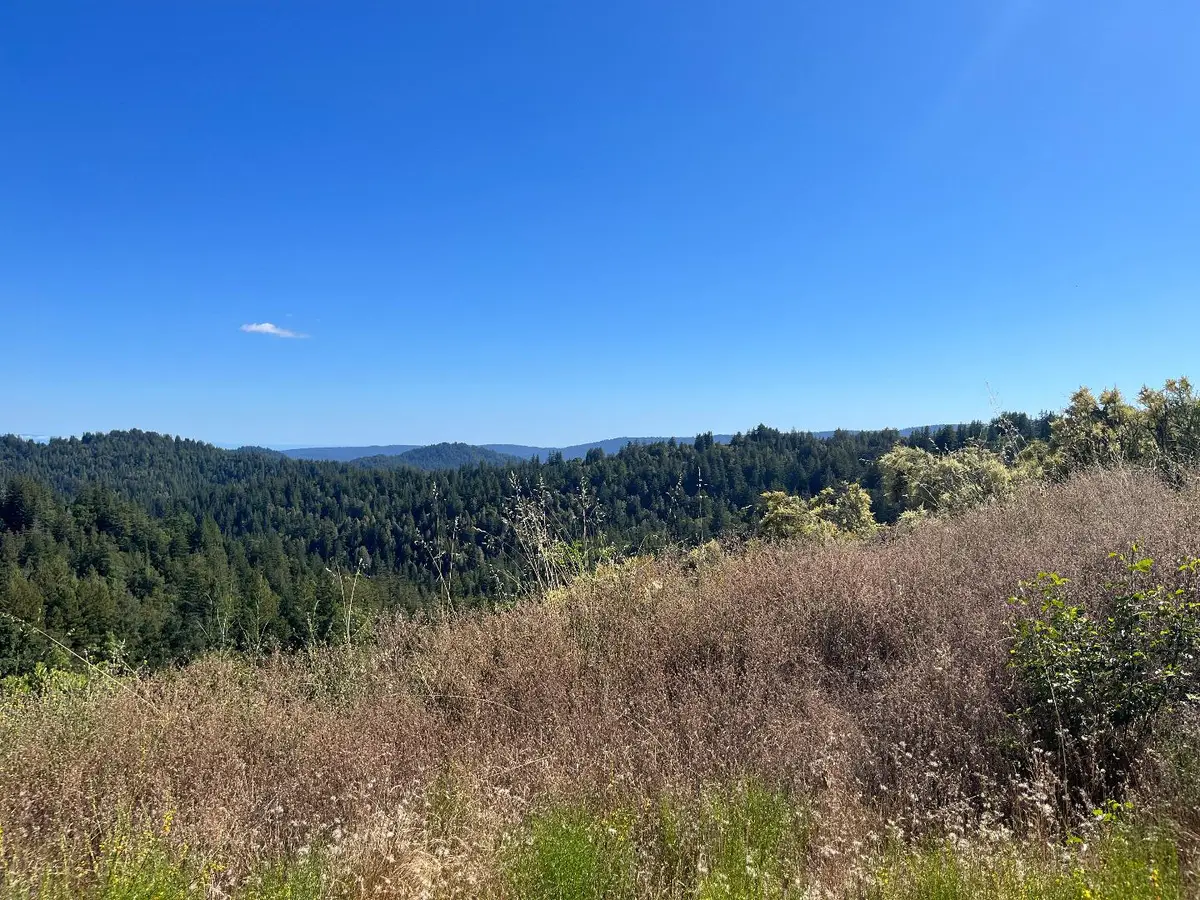 Lot 19 Bear Creek Road, Boulder Creek, CA 95006 - #1