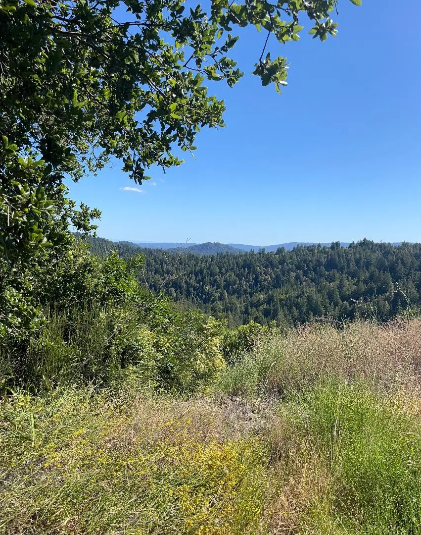 Lot 19 Bear Creek Road, Boulder Creek, CA 95006 - #3