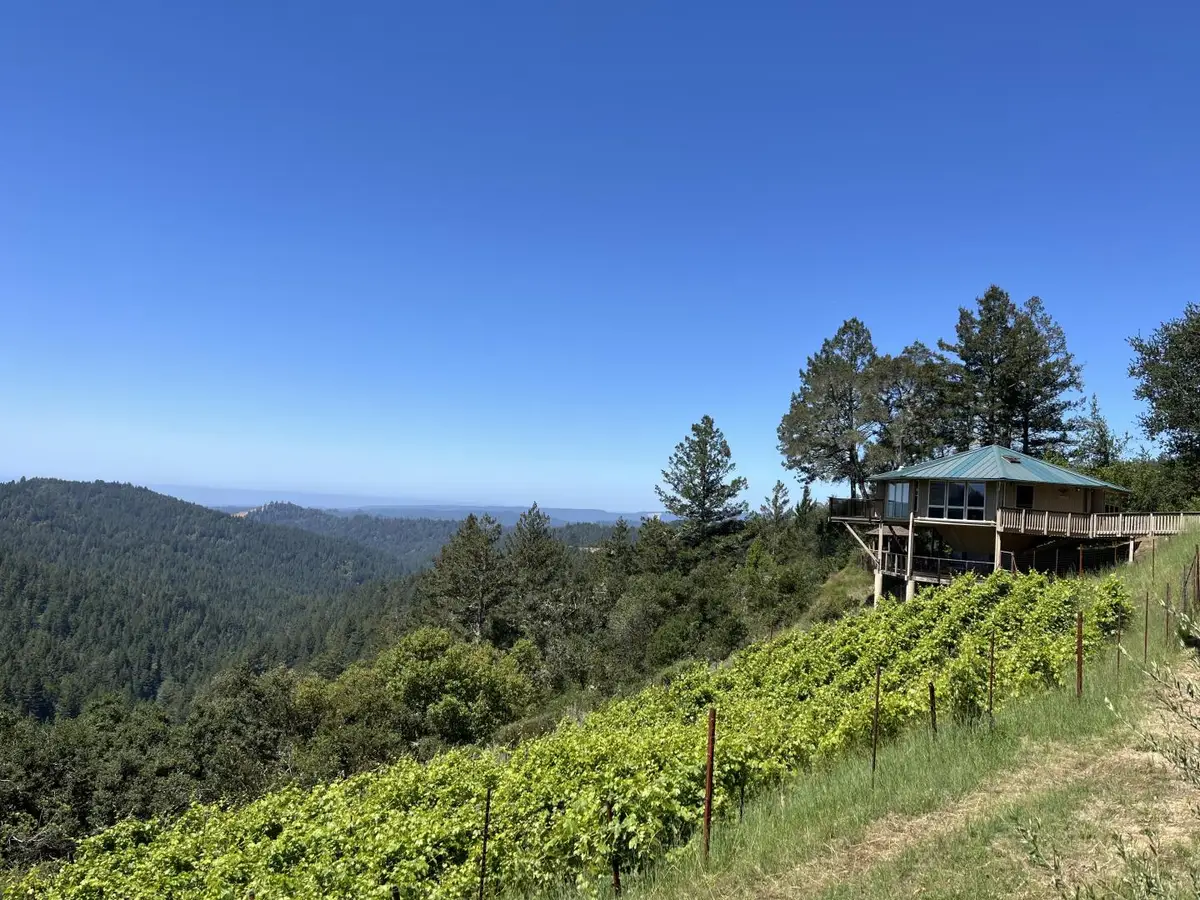 351 Canyon Vista, Los Gatos, CA 95033 - #1