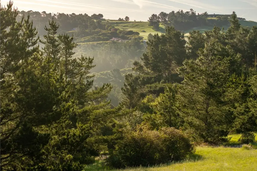 7925 Cinquenta (Lot 97), Carmel, CA 93923 - #3