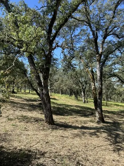 1100 Firth Way, El Dorado Hills, CA 95762 - #1