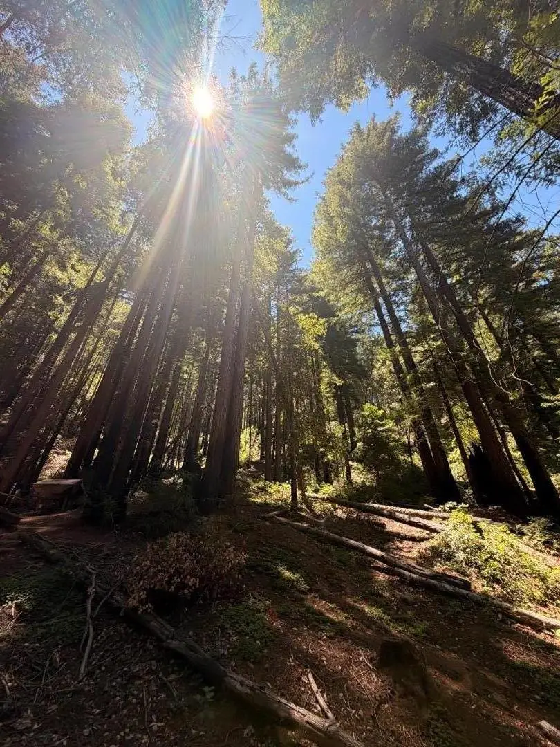 11837 Clear Creek Road, Brookdale, CA 95007 - #3