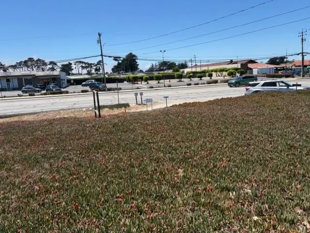 331 Reservation Road, Marina, CA 93933 - #3