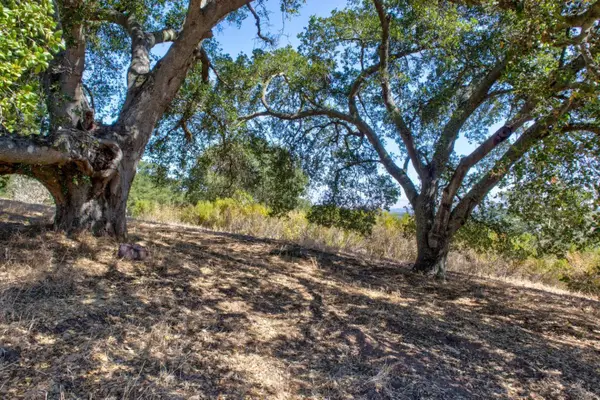 8272 Sassafras Court, PLEASANTON, CA 94566