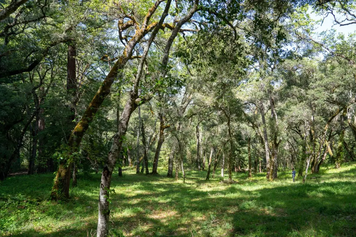 35000 Robinson Canyon Road, Carmel, CA 93923 - #1