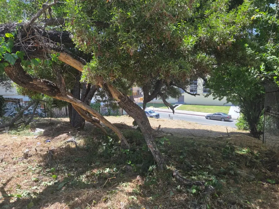 2120 35th Avenue, Oakland, CA 94601 - #2