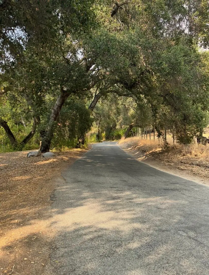 1000 Cachagua, Carmel Valley, CA 93924 - #2