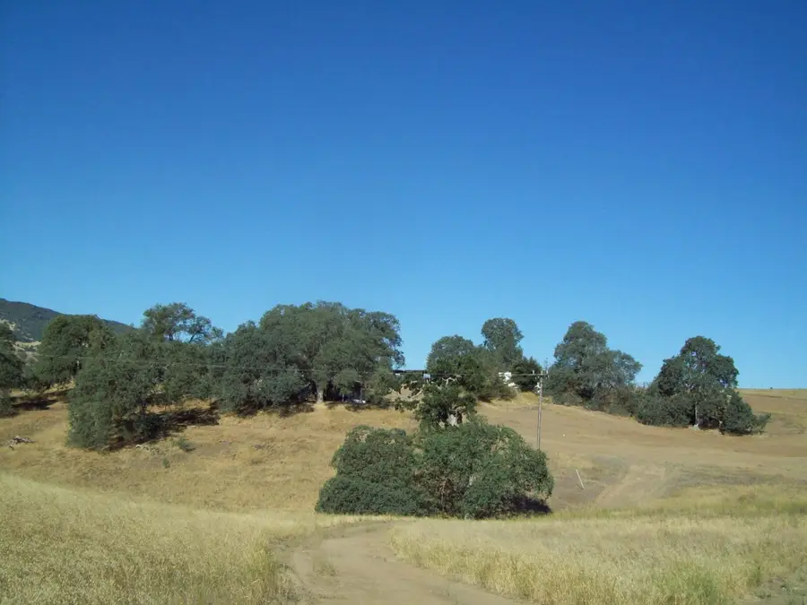 20077 Panoche, Tres Pinos, CA 95075 - #3