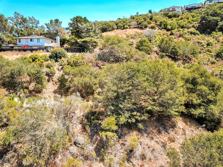 2928 Alhambra Drive, Belmont, CA 94002 - #2