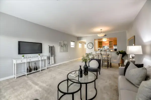 20 2nd Street  #238, SAN JOSE, CA 95113