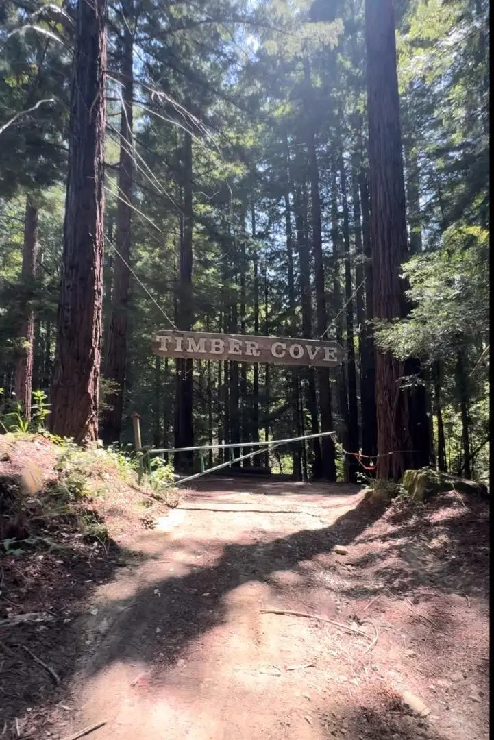 320 Timber Cove, Boulder Creek, CA 95006 - #3
