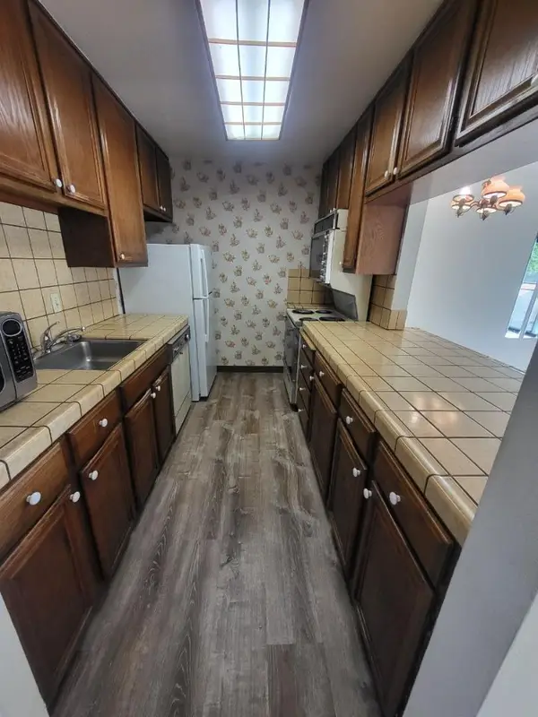 44 Lodato Avenue  #205, SAN MATEO, CA 94403