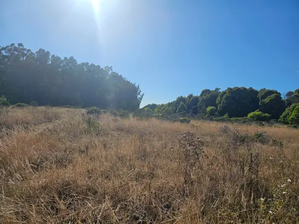 Address Withheld By Seller, HALF MOON BAY, CA 94019