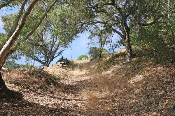 Address Withheld By Seller, SCOTTS VALLEY, CA 95066