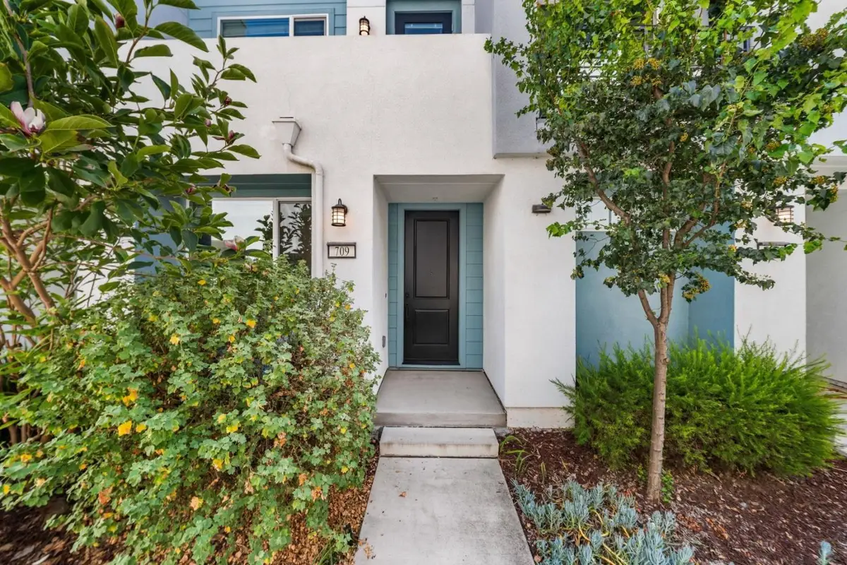 709 Fruit Ranch Loop, San Jose, CA 95133 - #1