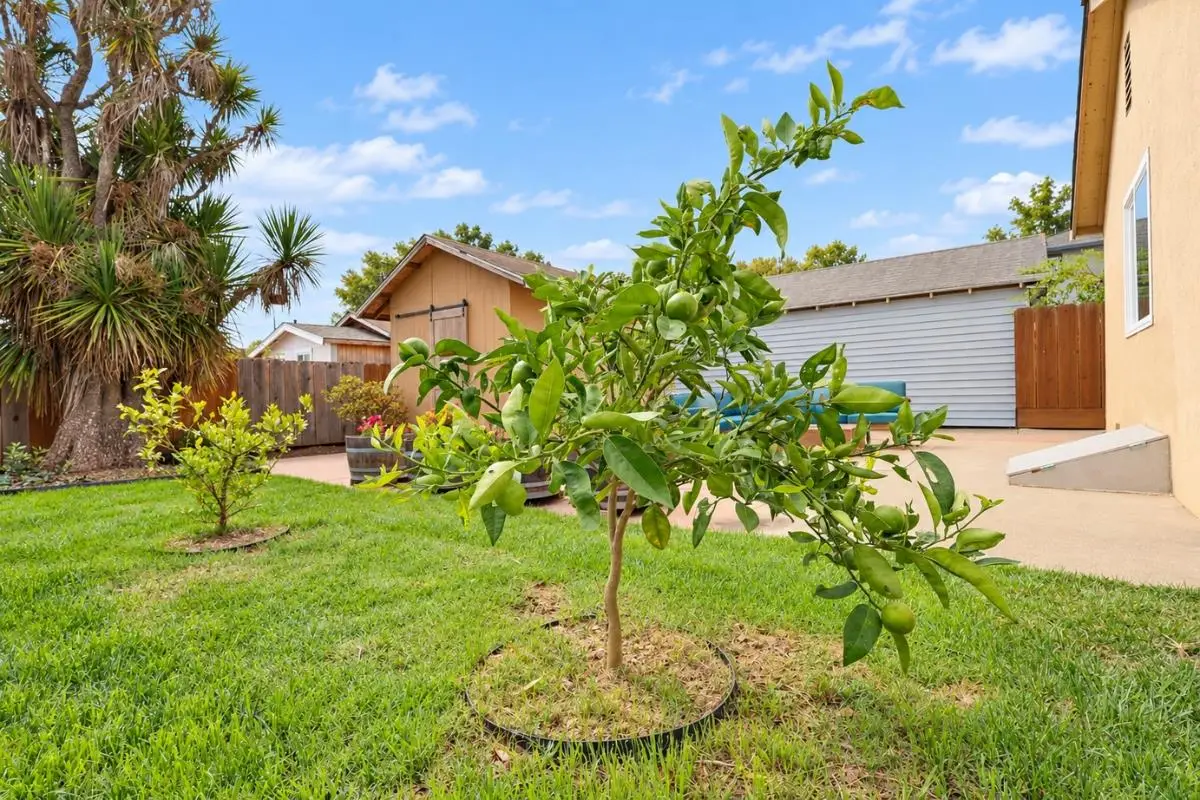 109 Clifford Avenue, Watsonville, CA 95076 - #1