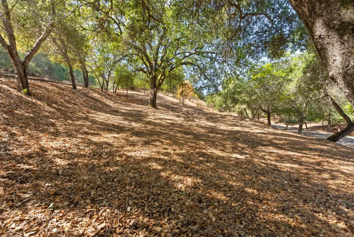 16099 Greenwood Road, Monte Sereno, CA 95030 - #1