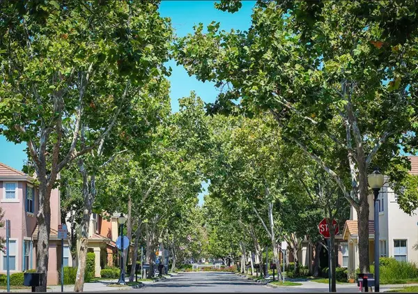 442 Whisman Park Drive, MOUNTAIN VIEW, CA 94043