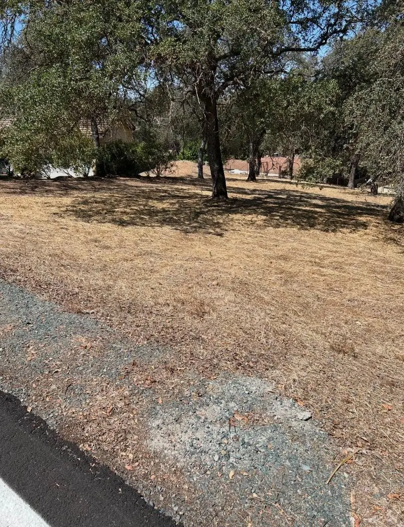 2194 Partridge Drive, Valley Springs, CA 95252 - #1