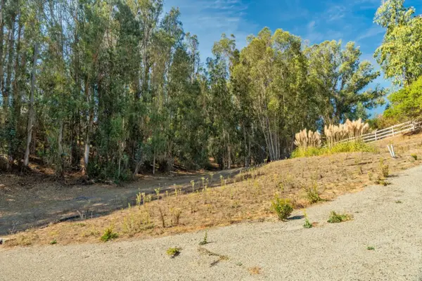 0 Carpenteria Rd., AROMAS, CA 95004
