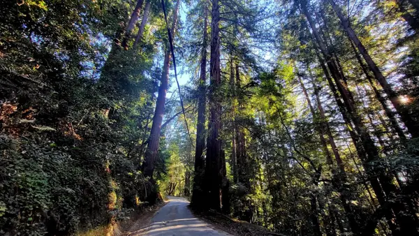 0 Redwood Lodge Road, LOS GATOS, CA 95033