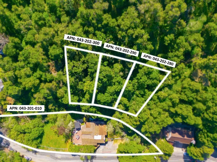 3009 San Juan Boulevard, Belmont, CA 94002 - #2