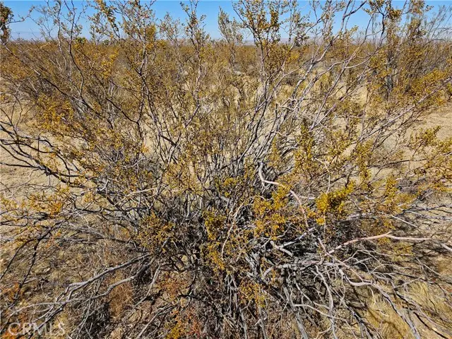 0 Avenue R, Palmdale, CA 93591 - #2