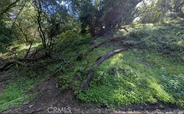 5950 Bagshotte Drive, Oakland, CA 94611 - Image #3