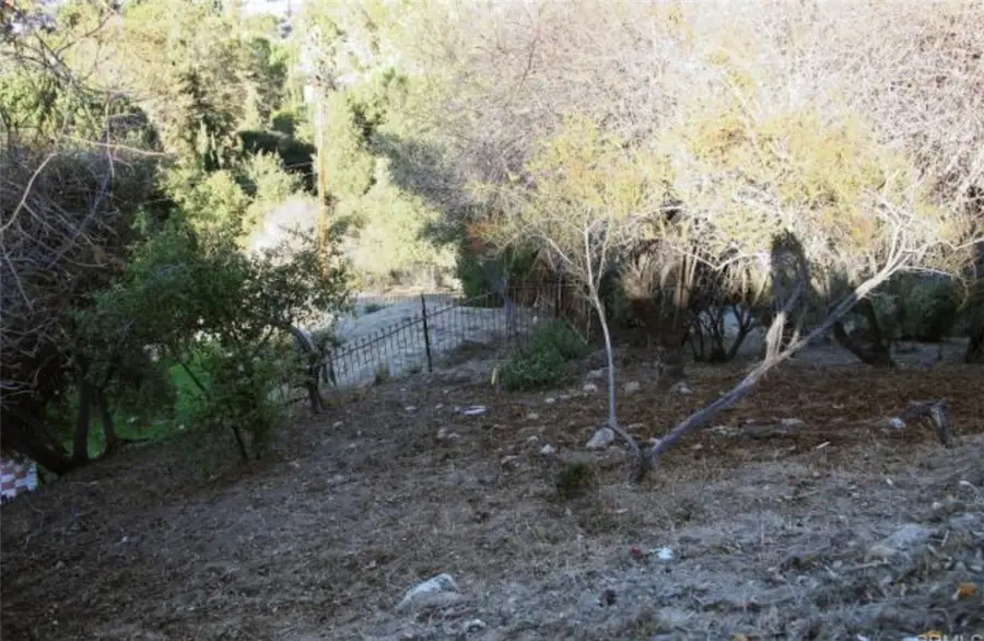 0 flora morgan trl, Tujunga, CA 91042 - #3