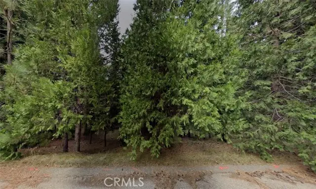 26581 Golf Links, Pioneer, CA 95666 - #2