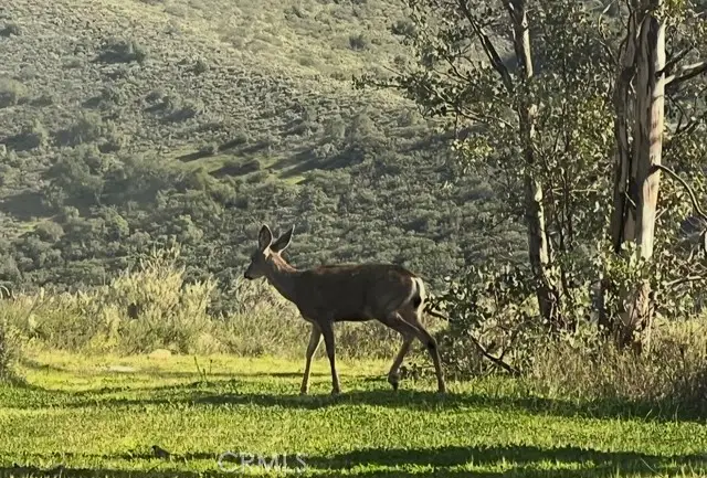 0 0, San Juan Capistrano, CA 92675 - #3