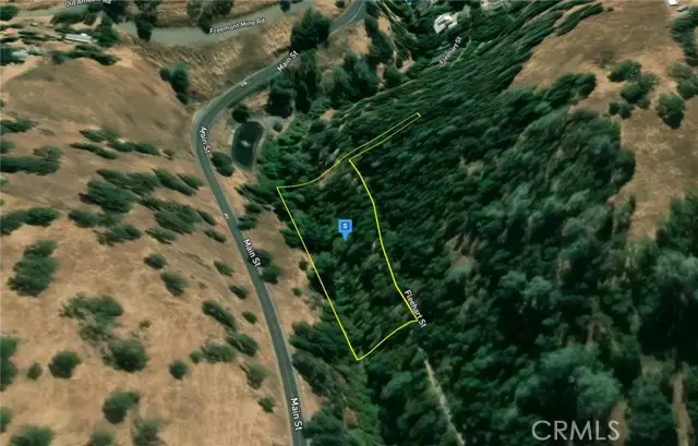10605 Fleehart Street, Amador City, CA 95601 - #2