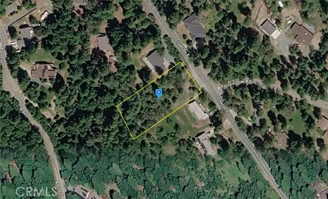 16735 Silver Drive, Pioneer, CA 95666 - #1