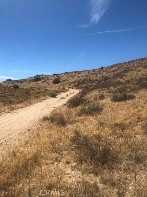 #3