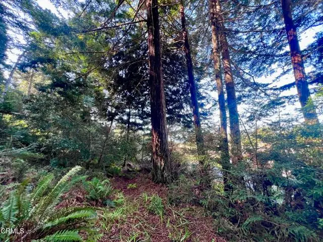 15301 Forest View Road, Manchester, CA 95459 - #2