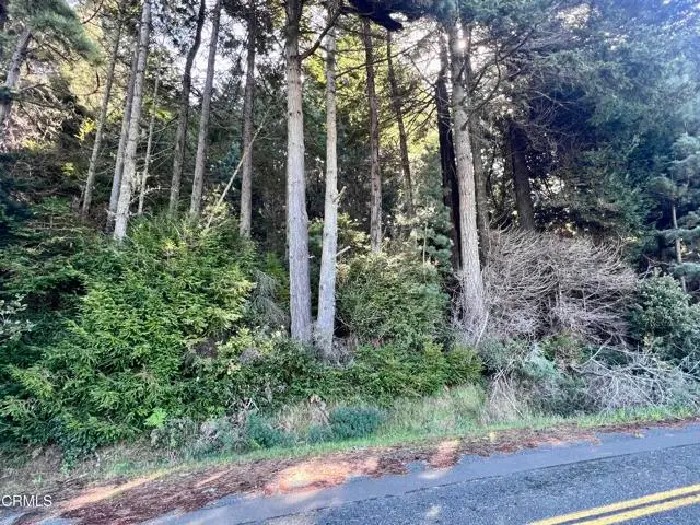 15301 Forest View Road, Manchester, CA 95459 - #3