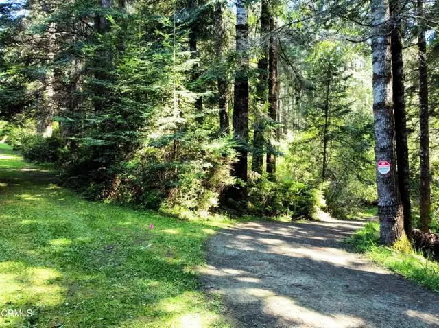 44551 Raven Lane, Mendocino, CA 95460 - #1