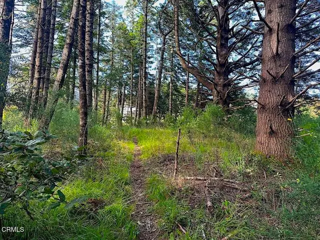 10435 Clark Street, Mendocino, CA 95460 - #1