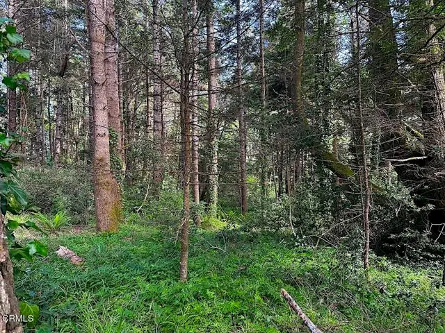 10435 Clark Street, Mendocino, CA 95460 - #2