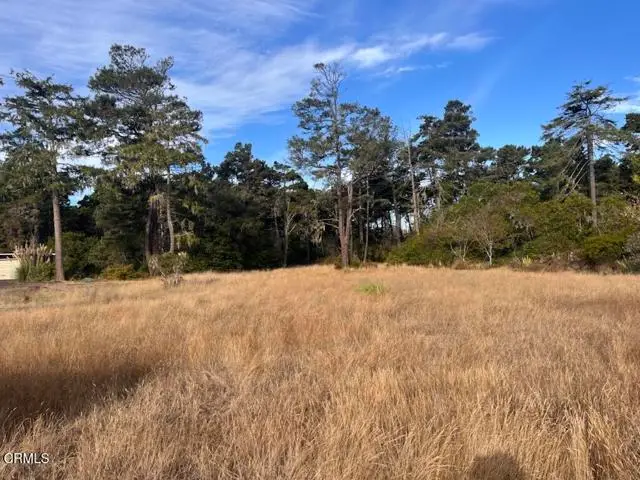 24670 Ward Avenue, Fort Bragg, CA 95437 - #1