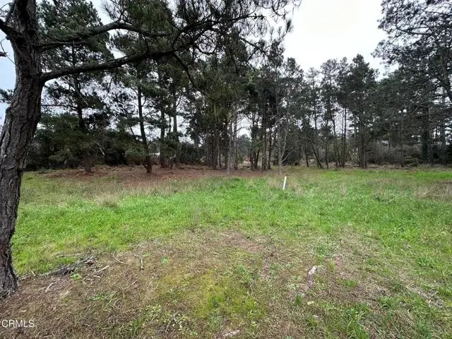 32875 Simpson Lane, Fort Bragg, CA 95437 - #2