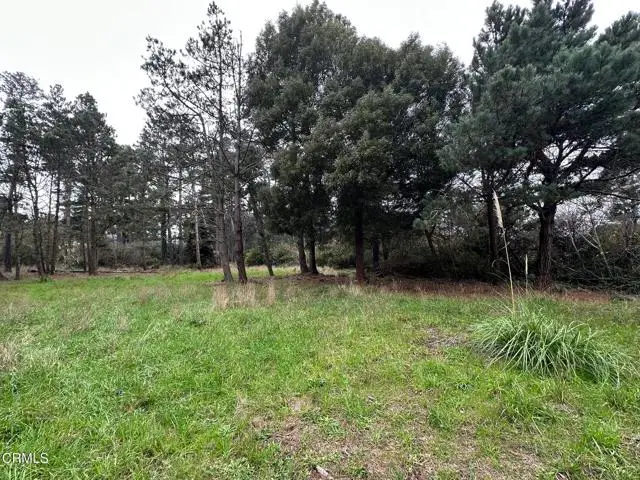 32875 Simpson Lane, Fort Bragg, CA 95437 - #3