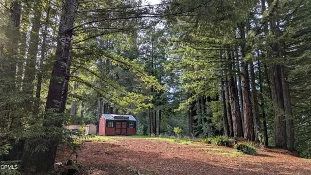 19800 Appaloosa Way, Navarro, CA 95463 - #1