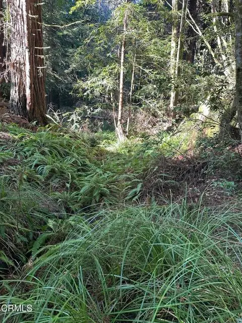 17500 Redwood Springs Drive, Fort Bragg, CA 95437 - #3