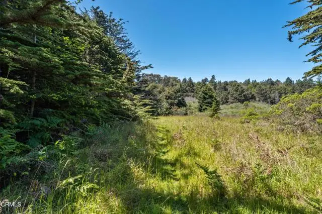 26950 California 1, Fort Bragg, CA 95437 - #3