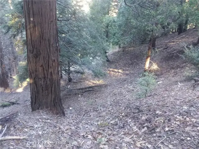 #3