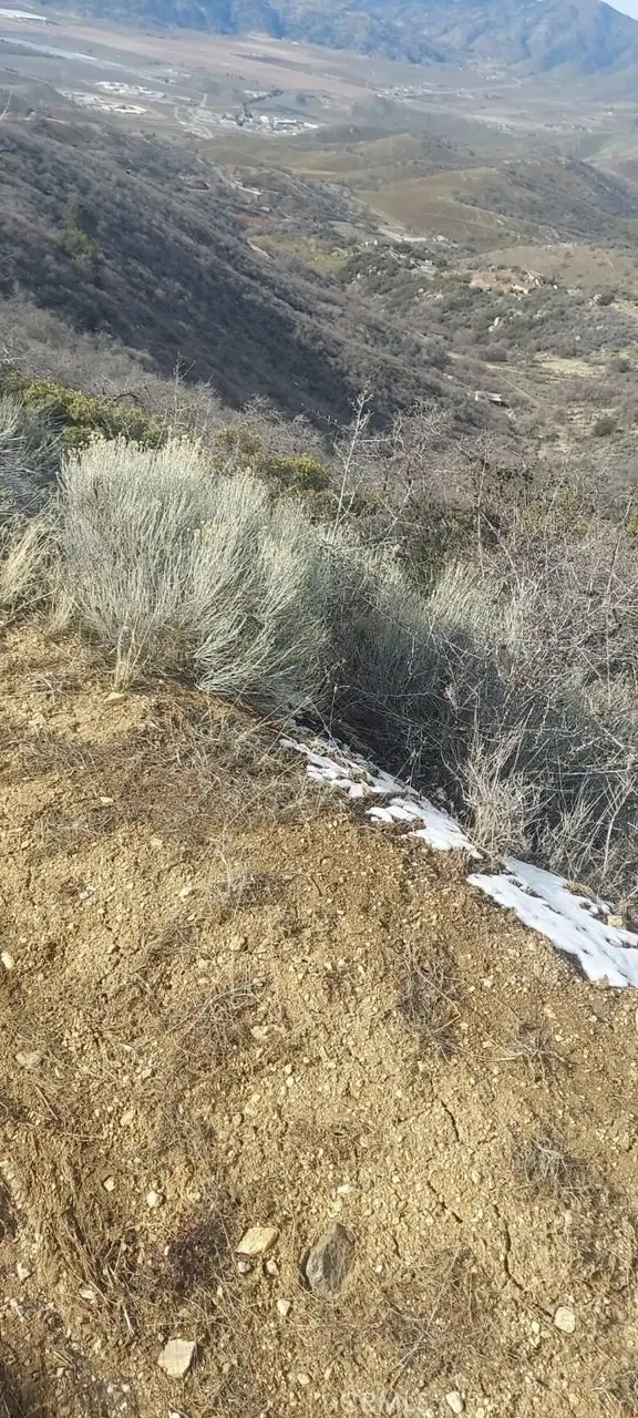 18020 Matterhorn Court, Tehachapi, CA 93561 - #3