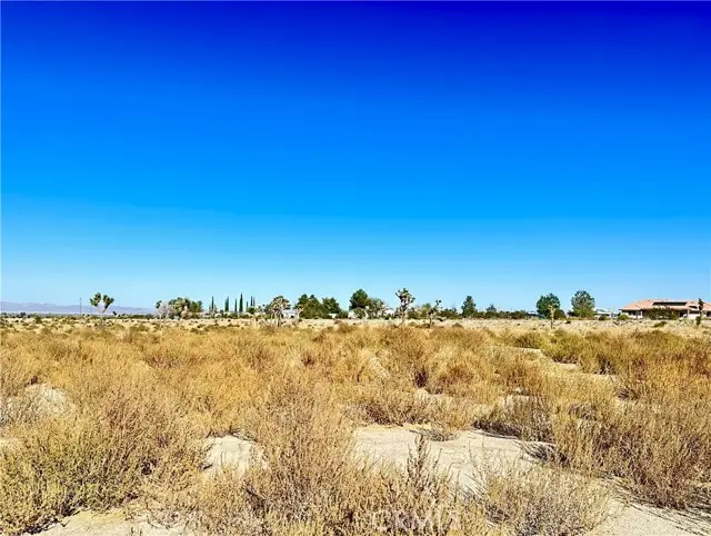 11975 Primavera Road, Pinon Hills, CA 92372 - Image #2