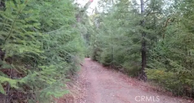 34530 Etsel Ridge Road, Covelo, CA 95428 - #2
