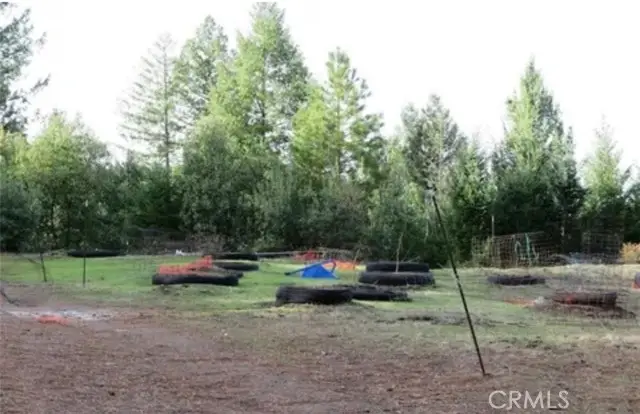 34530 Etsel Ridge Road, Covelo, CA 95428 - #3